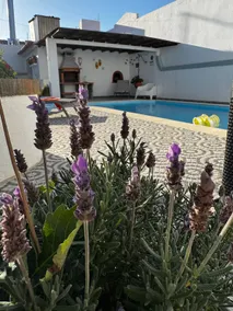 Grandma Alda | Private pool between Lisbon and Nazaré - Image 5