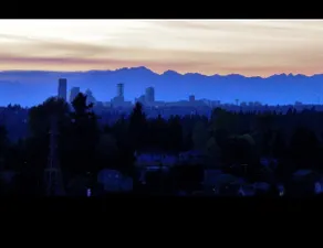 Bellevue - Image 4