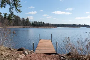 The Blackbird Inn on Rice Lake | Birdwatch & Parks - Image 5