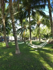 Private villa surrounded by animals and nature - Image 2