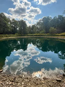Serenity Retreat | Secluded, Pond & Nature Escape - Image 5