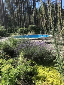 Cozy log cabin with sauna and pool - Image 4