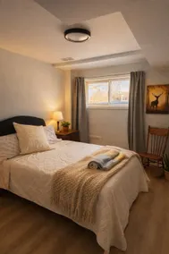 The Animal Room - Image 3