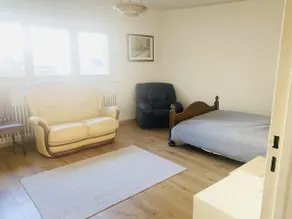Comfortable and fully equipped 41 m² (441 sq ft) apartment (1 bedroom) - Image 5