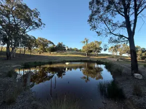 LIberty Flat Farm - epic entertainer - Image 5