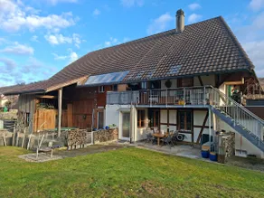 Airbnb NE12 - alpacas and the bleating of goats - Image 3