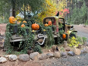 FairyTale Cottage Retreat, Love Dogs & Disc Golf - Image 5