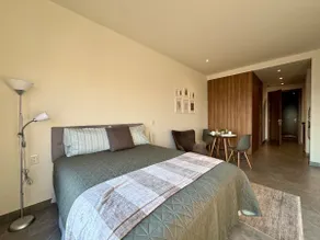 CENTRAL APARTMENT IN THE HEART OF MEXICO CITY - Image 4