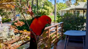 Lakeview Cabin at Lake Hume - Image 4