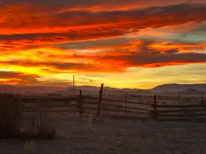 Mustang Corral - Image 3