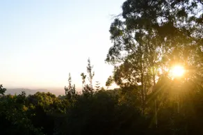The Fernery: Cosy Bay & Forest Views & Lyrebirds - Image 3