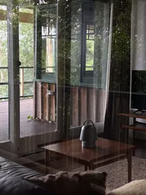 The Fernery: Cosy Bay & Forest Views & Lyrebirds - Image 2
