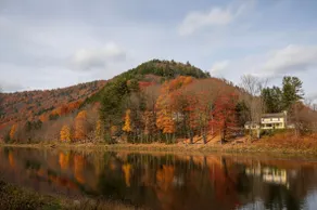 Delaware River Access | Walk to Town | Sleeps 10 - Image 2