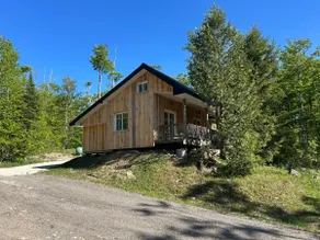 Cabin in the Woods - Image 2