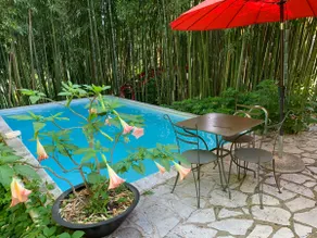 Edgard's Villa, in the water lily garden - Image 2