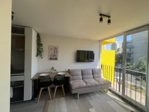 Fully Equipped Modern Studio Parque Quinta Normal - Image 2