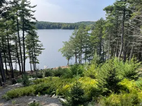 Lakeside Dream - Image 3