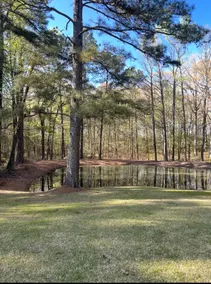 Howard House | Family Retreat w/ Pool & Woods - Image 5