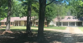 Howard House | Family Retreat w/ Pool & Woods - Image 3
