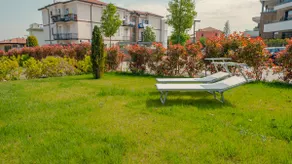 Villetta D'Oro - Italian Homing - Image 2