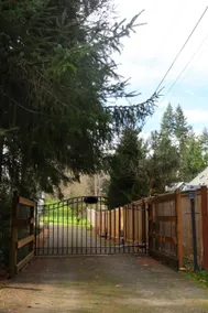 Cozy Birch Family Grove | Sleeps 6 - Image 5