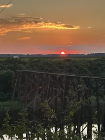 The Bayou Blind - Image 2