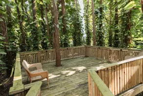 Private 2-Acre Woodland Retreat | Pool + Boardwalk - Image 5