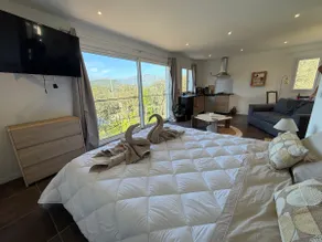Air-conditioned apartment, loft (master suite). - Image 2