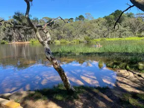 Waratah Retreat. Pet friendly. - Image 5