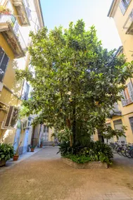 Italianway Apartments - Nino Bixio - Image 5