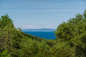 Stone Villa & Private Pool in an Orchard - Aegean Retreat - Image 3