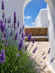 Elegant Apartment in Ornos - Walk to the Beach - Image 2