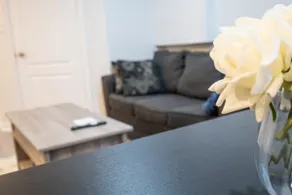 Newly Renovated 2BR Basement Suite, Private Entry - Image 5