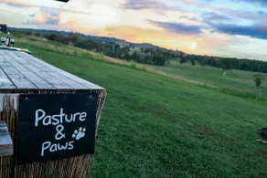 Pasture and Paws by Tiny Away - Image 2