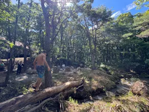 Kuju Forest Retreat with Private Barrel Sauna - Image 3