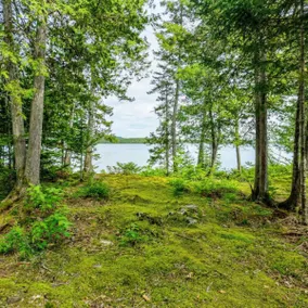 Downeast Waterfront Getaway with Bay Views - Image 5