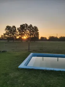Country house, horses, and river. I lived the experience. - Image 4