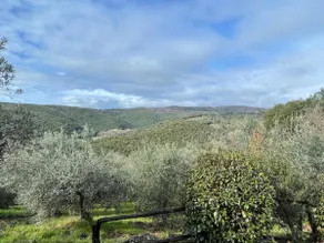 La Casetta dei Pereti - Image 4