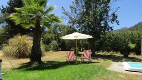 A plot for relaxation and disconnection - Image 4