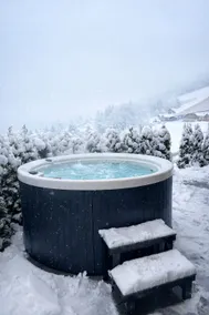 Modern SPA Chalet near Interlaken • AC • Hot Tub - Image 2