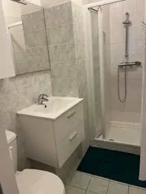 Entire Apartment - Image 5