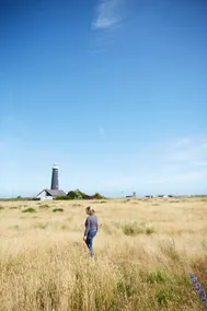 The Bunker, a corrugated clad cabin in Dungeness - Image 3