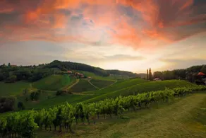 Tuscany flair on the southern Styrian wine route - Image 5