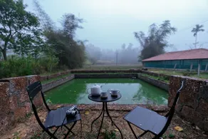 Maldare Days II by Raho | Private Jungle Stay - Image 3