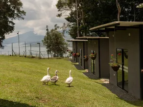 Valley of Blessings, Lago Calima Cabaña No.5 - Image 5
