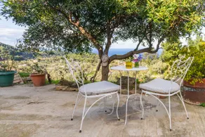 Olive Tree Guest House - Image 3