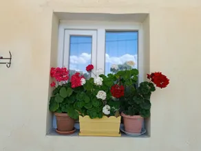 Little House - Image 2