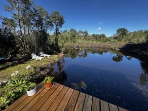 Cabin with Lagoon View and Native Forest - Image 2