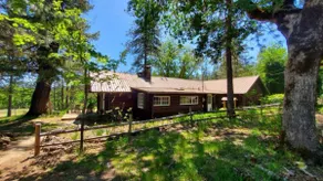 100 Year old cabin in the woods, quiet retreat. - Image 2