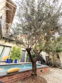 The Olive Tree House - Image 3